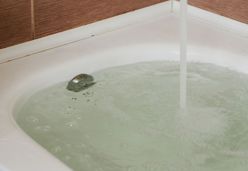 浴槽水検査・レジオネラ属菌検査